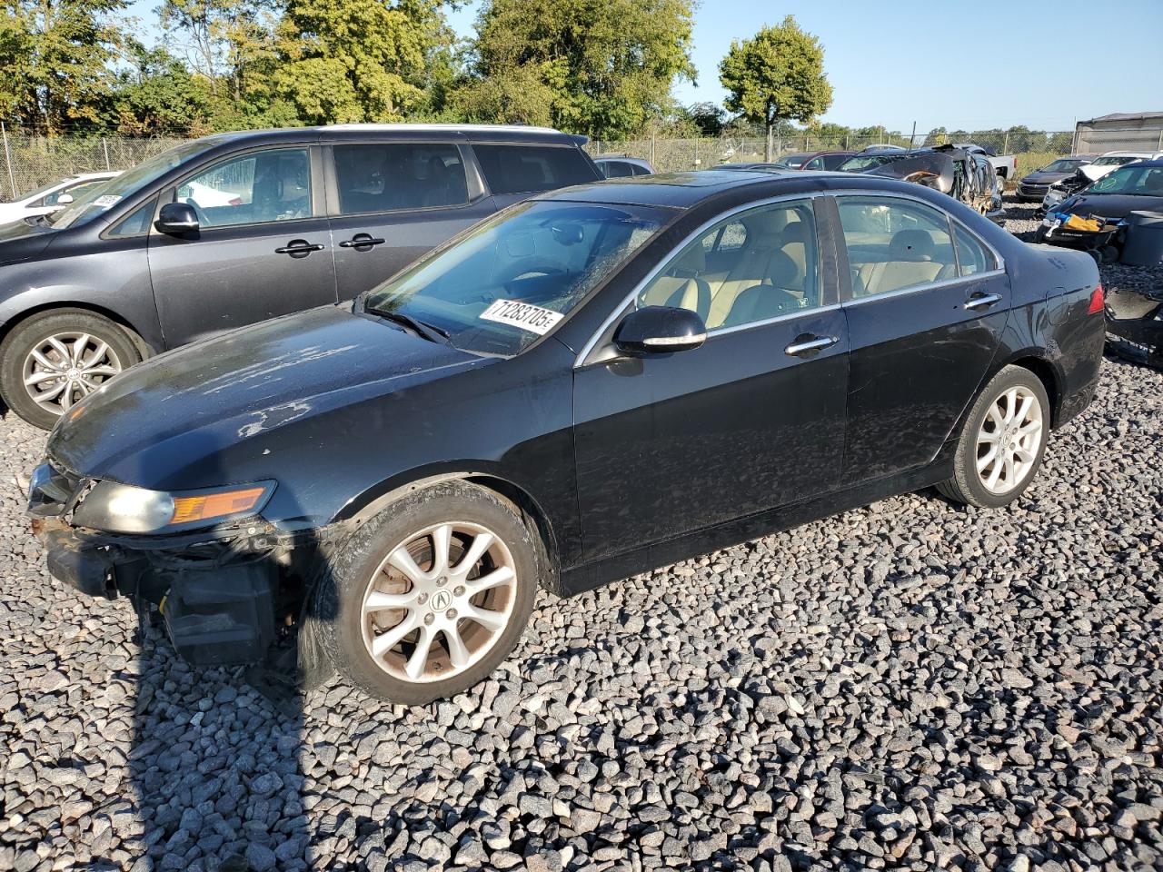 Lot #3255474392 2006 ACURA TSX