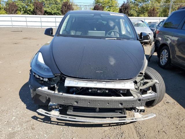 2025 TESLA MODEL Y 7SAYGDEE7SA354497