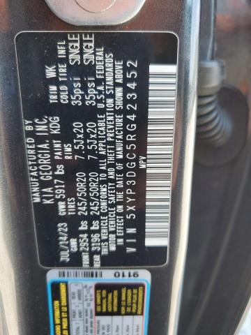 2024 KIA TELLURIDE EX - 5XYP3DGC5RG423452