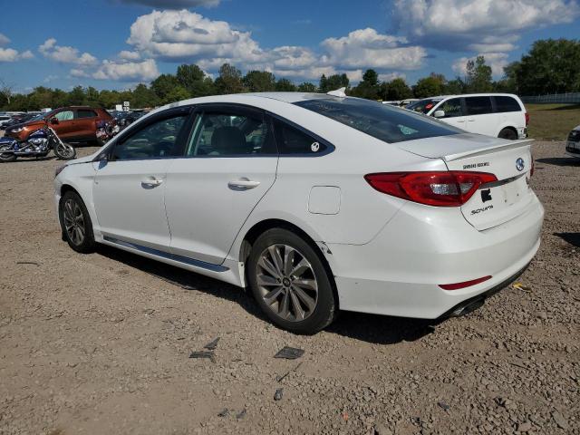 2015 HYUNDAI SONATA SPO 5NPE34AF3FH029589