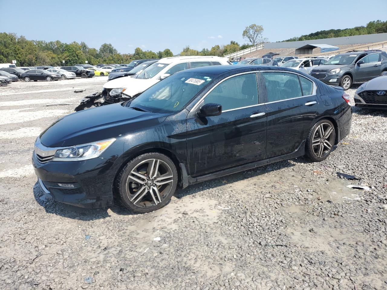 HONDA ACCORD SPORT