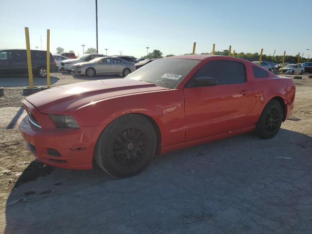 Global Auto Auctions: 2013 FORD MUSTANG