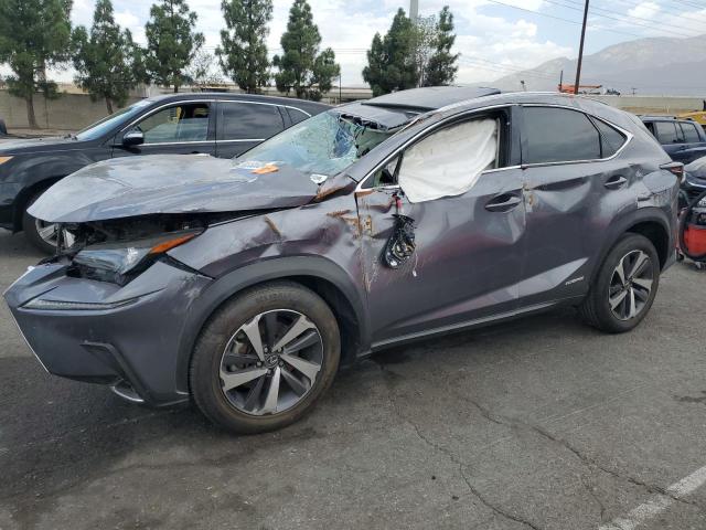 LEXUS NX 300H