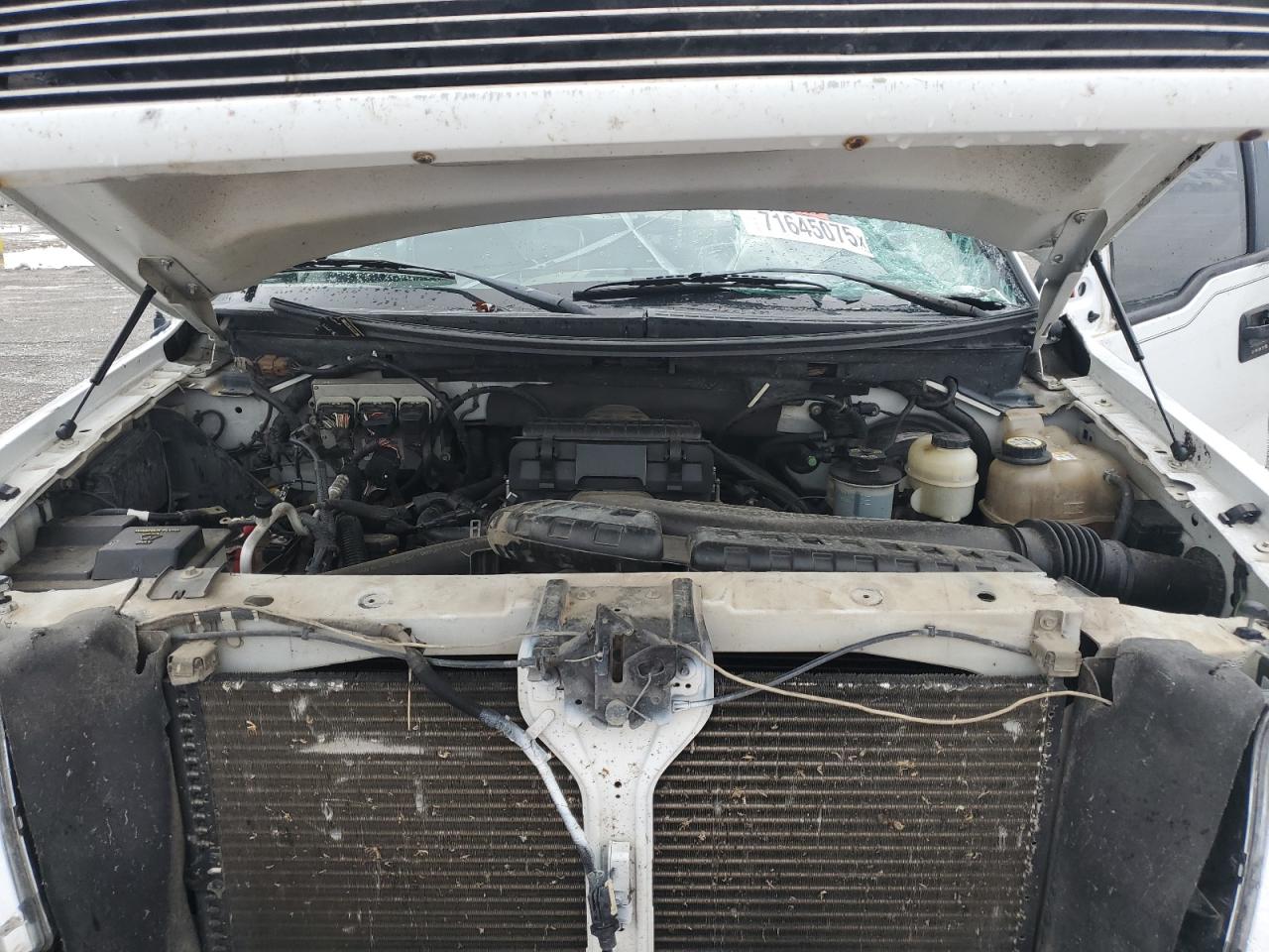 Lot #3264518557 2006 FORD F150 SUPERCREW