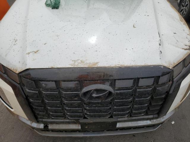 2025 HYUNDAI PALISADE S #3315800349
