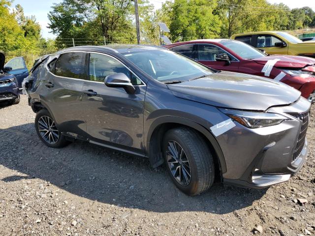 2024 LEXUS NX 250 BAS 2T2ADCAZ8RC007929