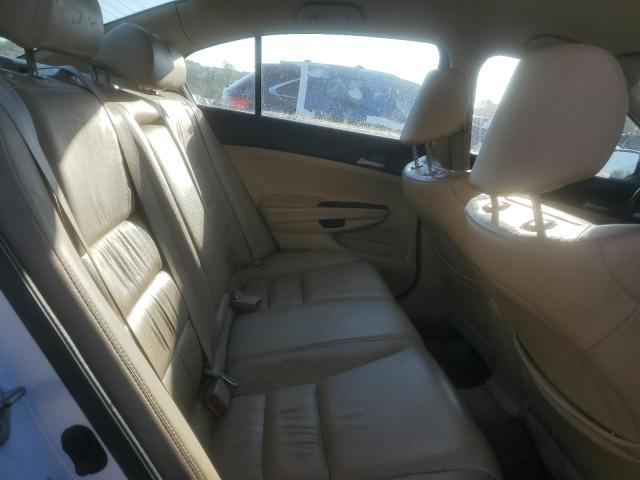 2011 HONDA ACCORD SE #3304514473