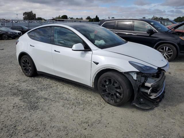 2023 TESLA MODEL Y 7SAYGAEEXPF894323
