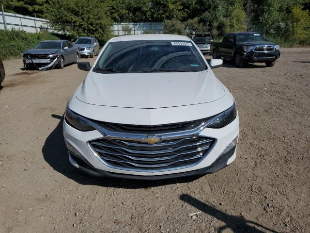 2019 CHEVROLET MALIBU LT 1G1ZD5ST4KF166529