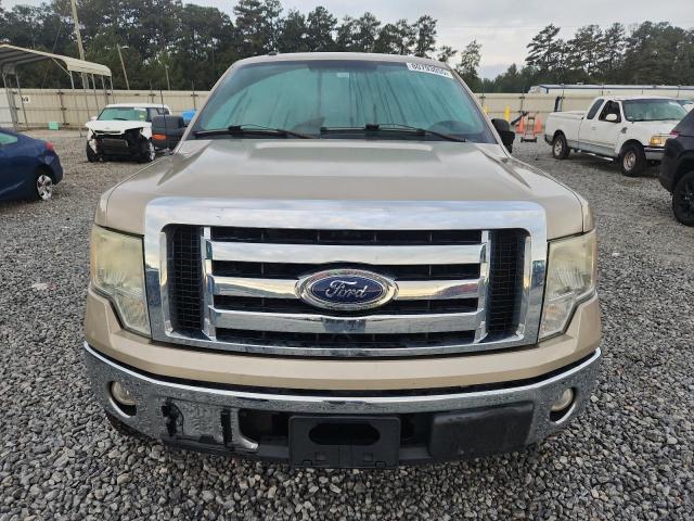 2010 FORD F150 SUPER - 1FTFW1CV0AFC80829