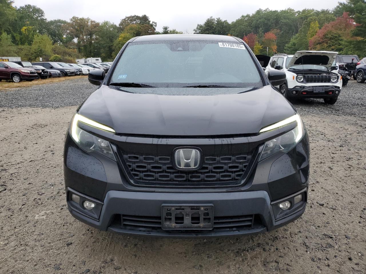 HONDA PASSPORT SPORT