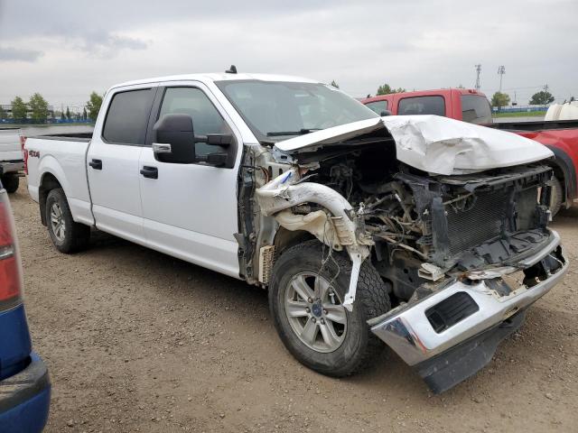 2019 FORD F150 SUPERCREW - 1FTFW1E5XKKC25715