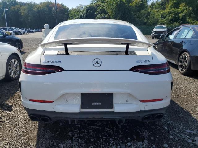 2019 MERCEDES-BENZ AMG GT 53 WDD7X6BB3KA008544