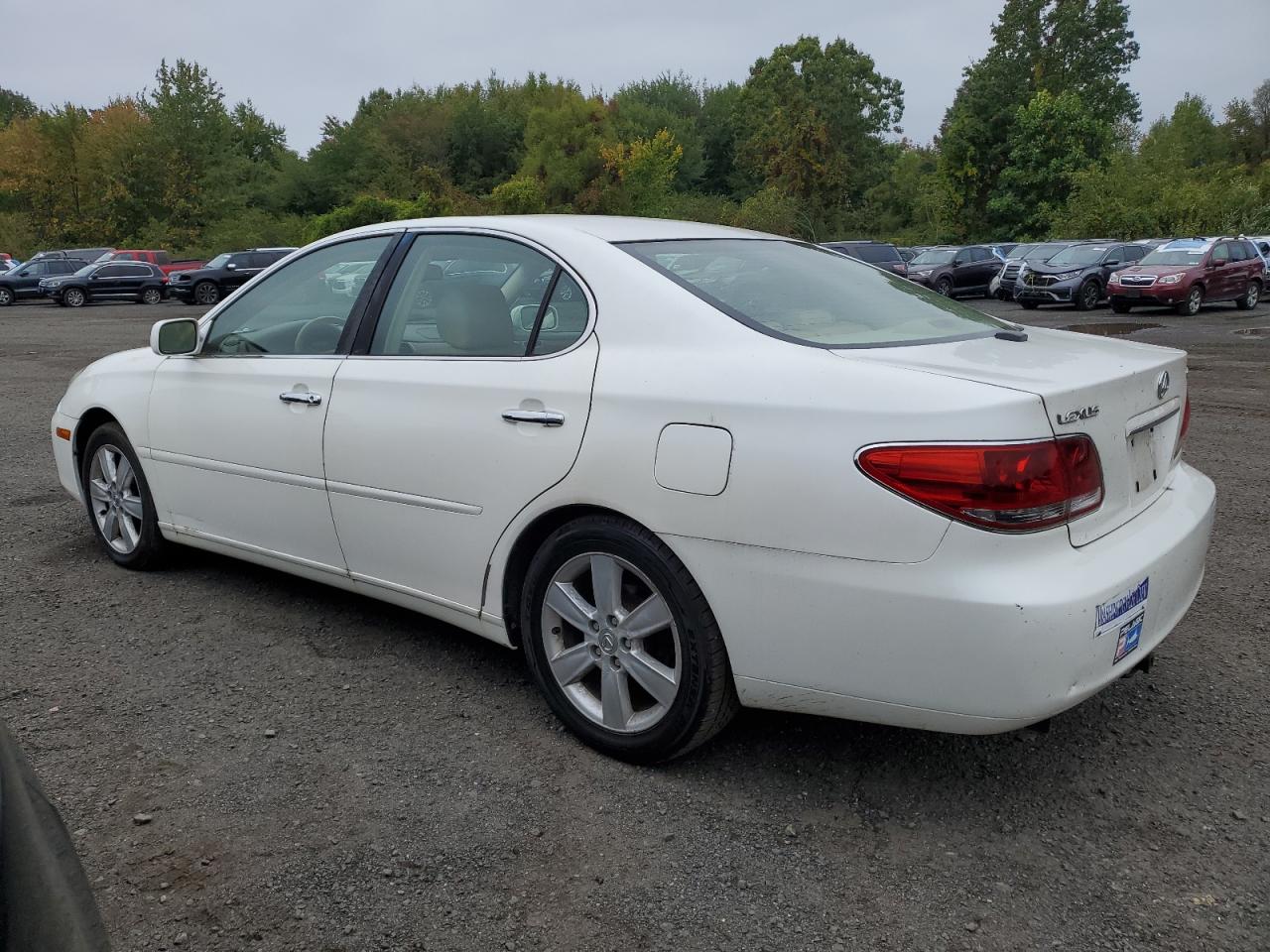 Lot #3246882504 2006 LEXUS ES 330