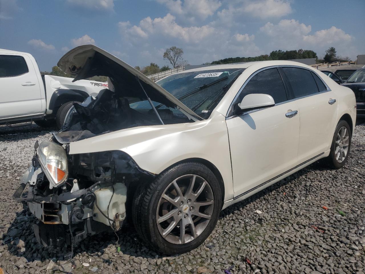 CHEVROLET MALIBU LTZ