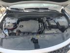 Lot #3294404491 2022 KIA SORENTO S
