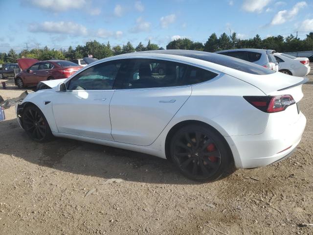2019 TESLA MODEL 3 #3258997036