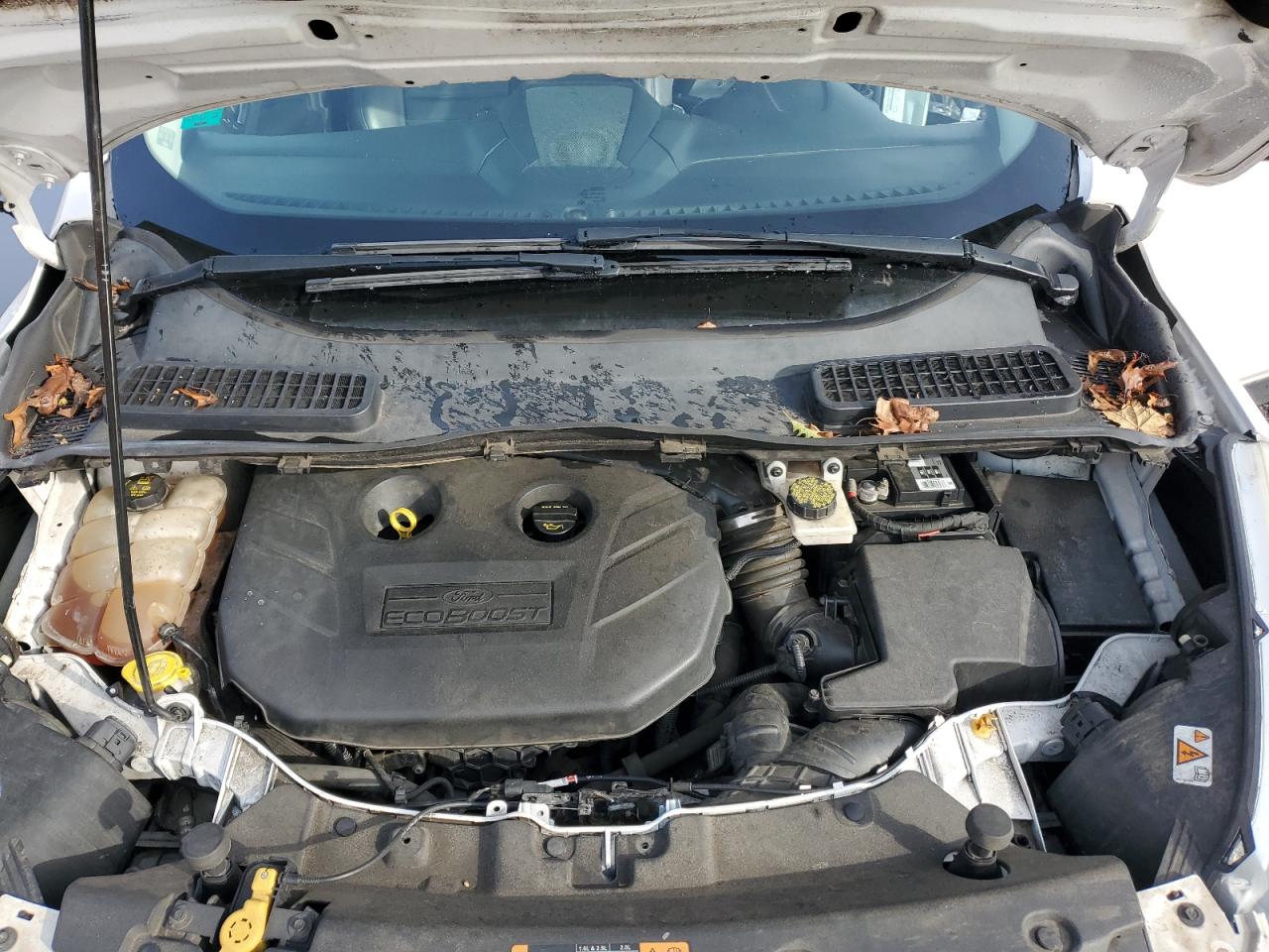 FORD ESCAPE TITANIUM