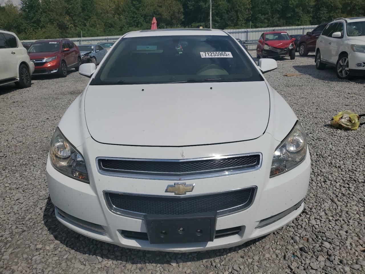 CHEVROLET MALIBU 2LT
