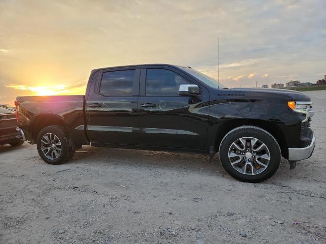 2024 CHEVROLET SILVERADO 2GCPACED1R1218037