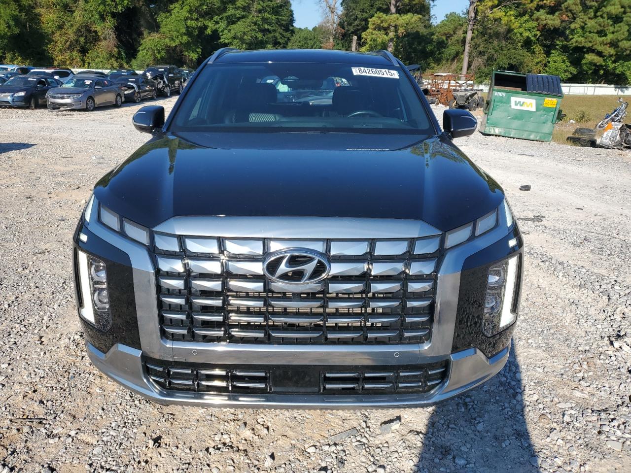HYUNDAI PALISADE CALLIGRAPHY