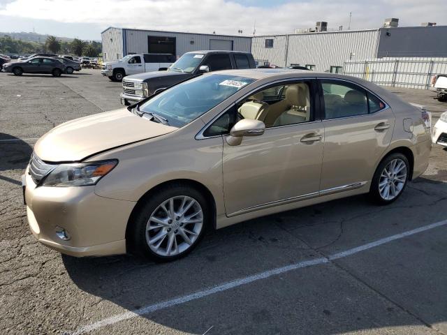 LEXUS HS 250H