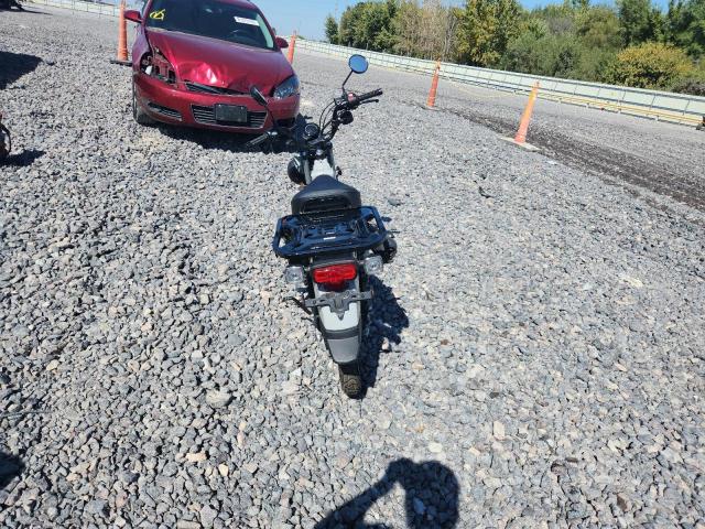2025 HONDA CT125 A MLHJA6559S5200614