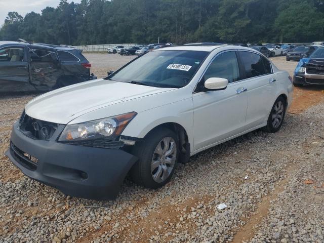 Global Auto Auctions: 2008 HONDA ACCORD EXL