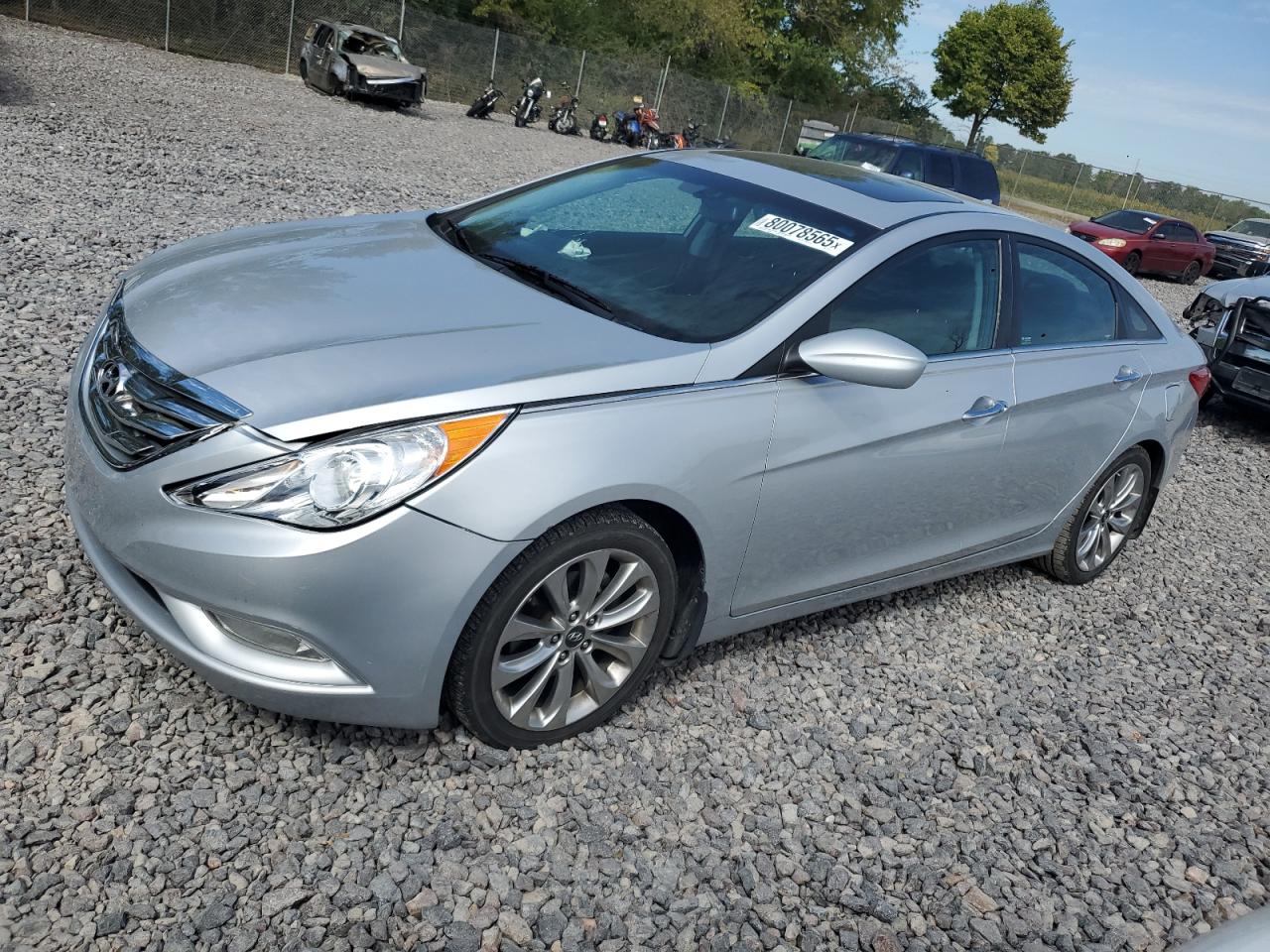 Lot #3259085036 2013 HYUNDAI SONATA SE