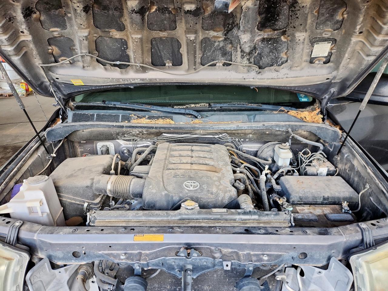 TOYOTA TUNDRA DOUBLE CAB SR5