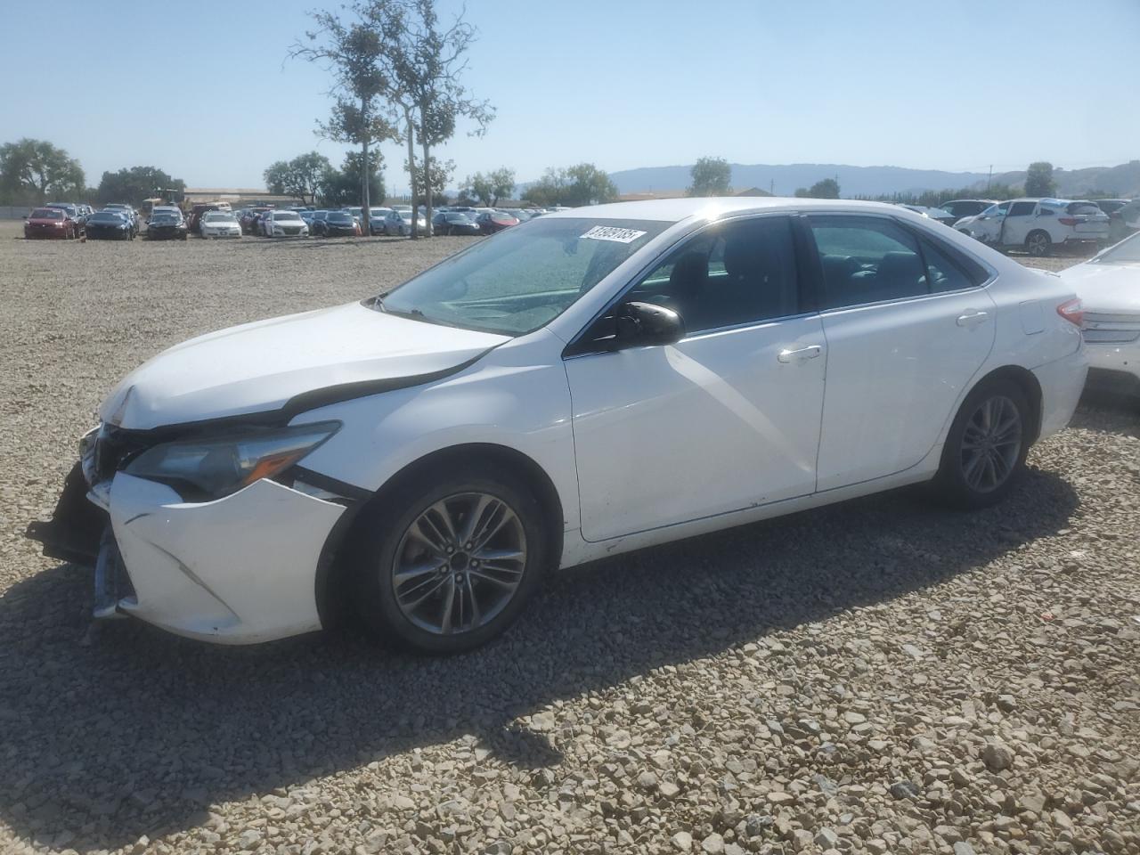 TOYOTA CAMRY LE
