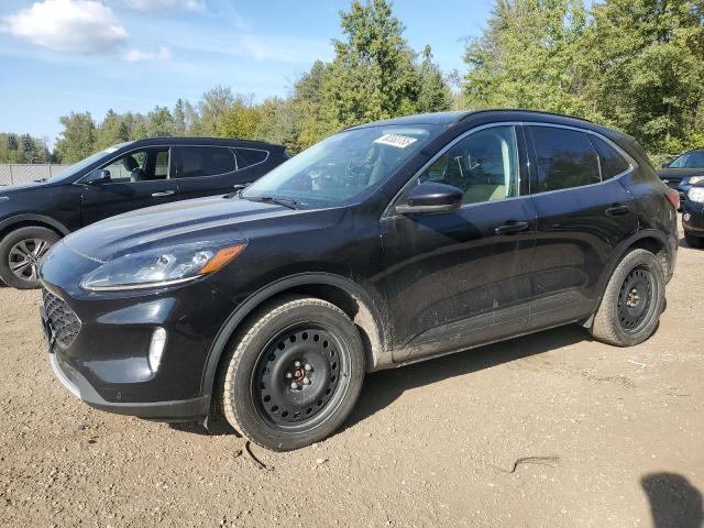 Global Auto Auctions: 2022 FORD ESCAPE TIT