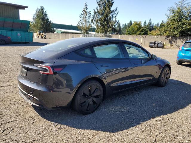 2025 TESLA MODEL 3 #3304864537