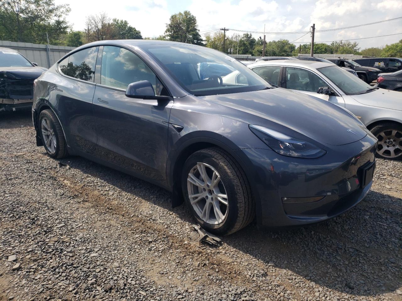 Lot #3318924950 2023 TESLA MODEL Y