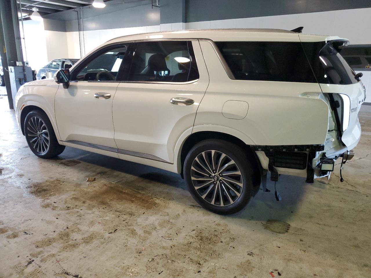 HYUNDAI PALISADE CALLIGRAPHY