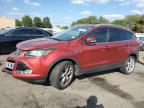 Lot #3303817449 2014 FORD ESCAPE TITANIUM