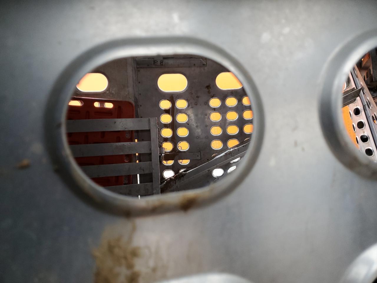 Lot #3259575025 2019 EBY LIVE STOCK