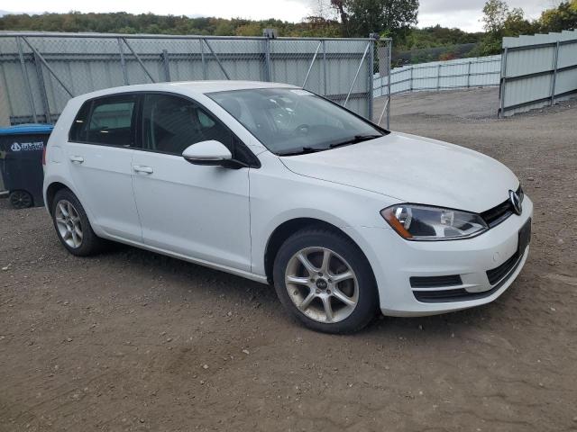 2010 VOLKSWAGEN GOLF - 3VW217AU0FM103552
