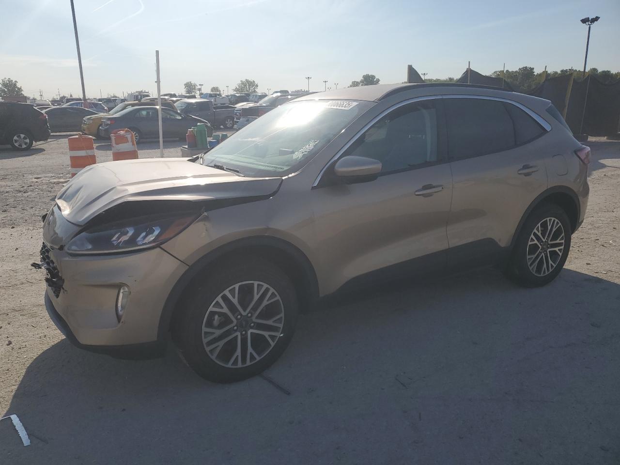 Lot #3240004489 2021 FORD ESCAPE SEL