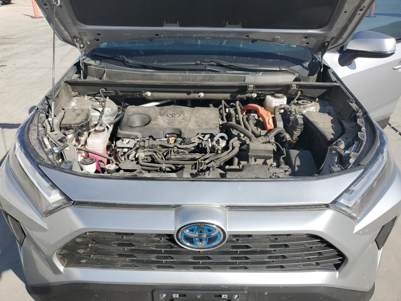 TOYOTA RAV4 XLE