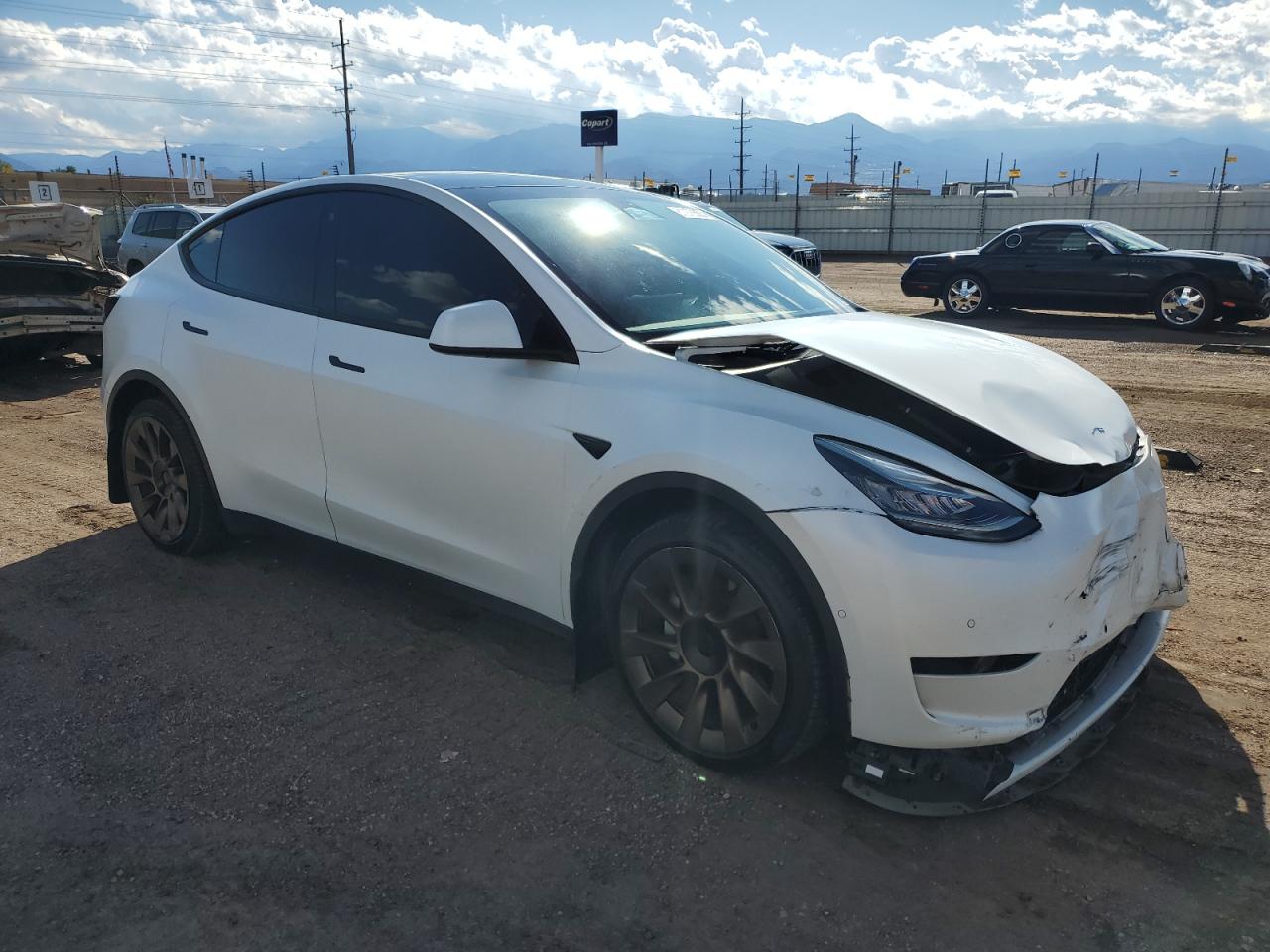 Lot #3302711009 2022 TESLA MODEL Y