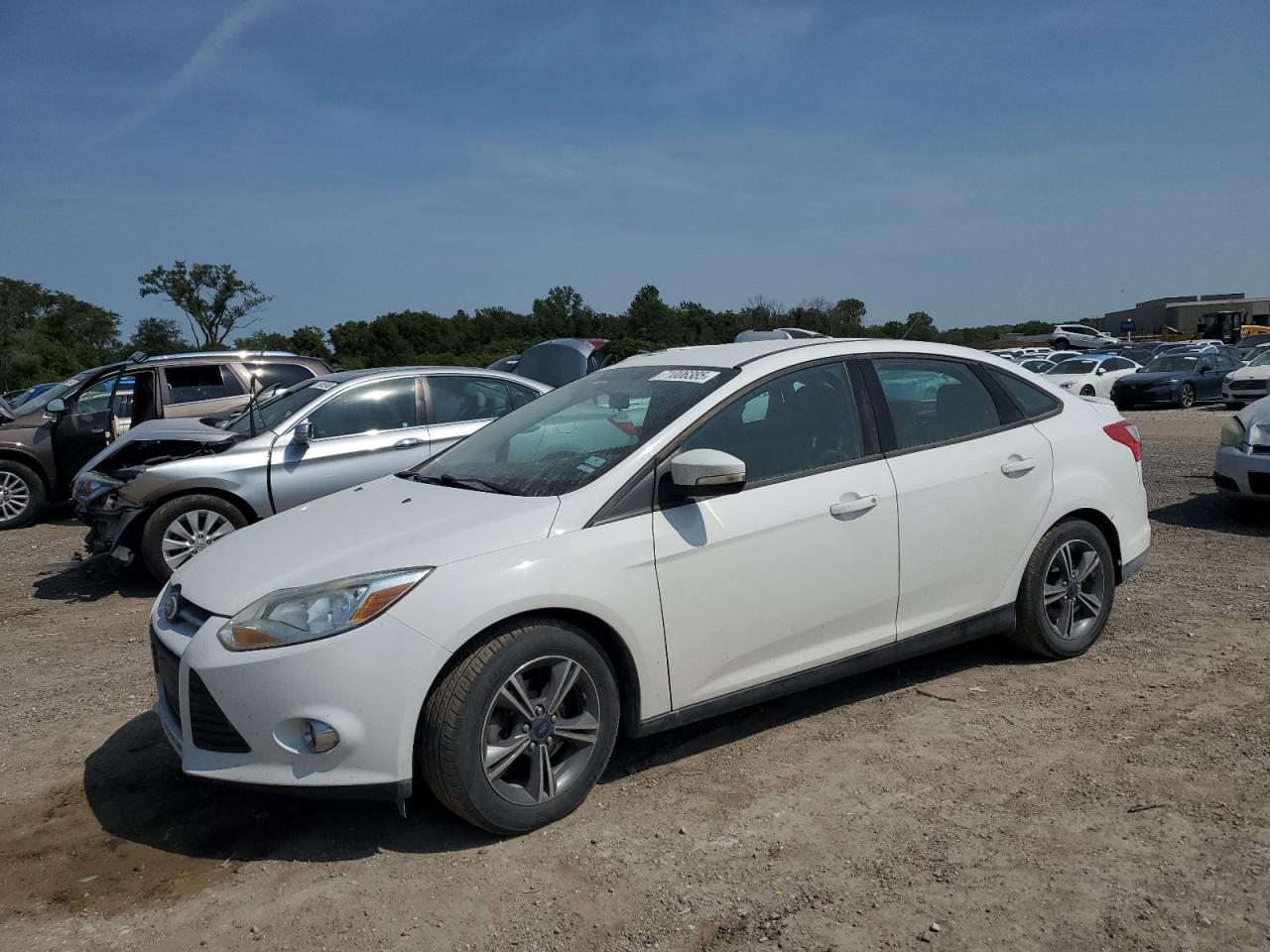 FORD FOCUS SE