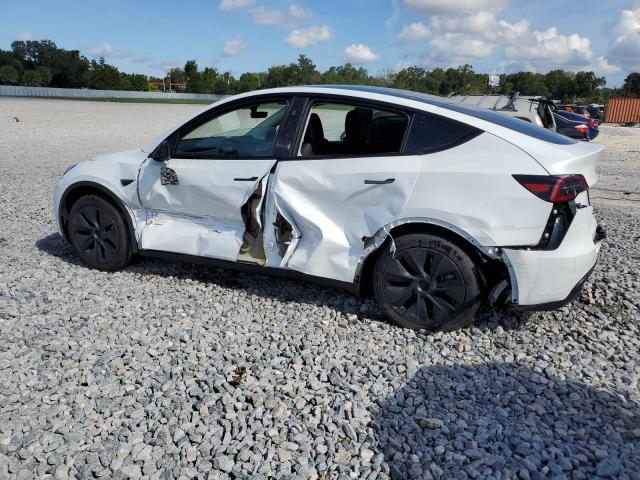 2025 TESLA MODEL Y #3296320480