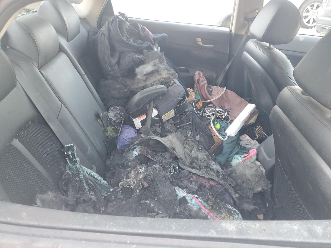 Global Auto Auctions