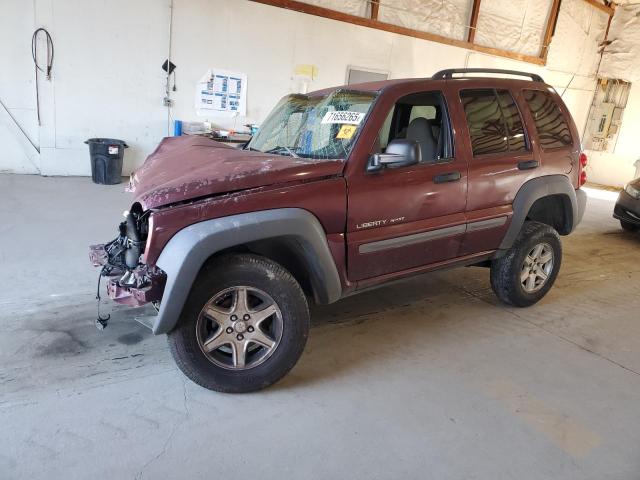 Global Auto Auctions: 2002 JEEP LIBERTY SP