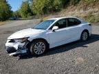 Lot #3308373278 2023 TOYOTA CAMRY LE