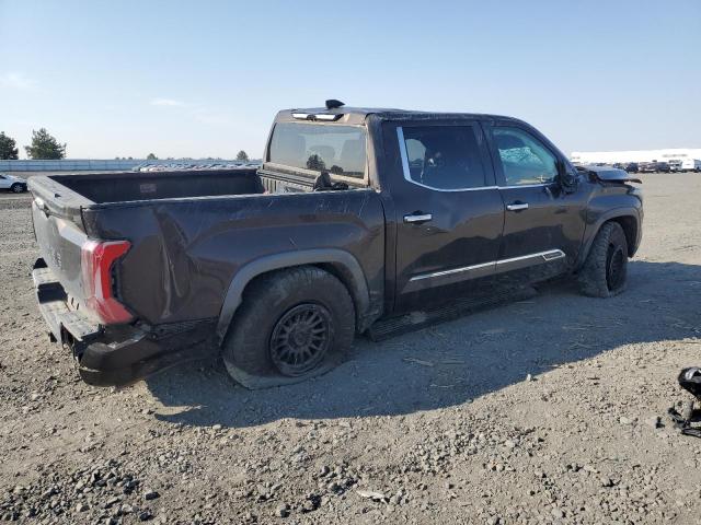 2023 TOYOTA TUNDRA CREWMAX PLATINUM 5TFMA5DB7PX096413