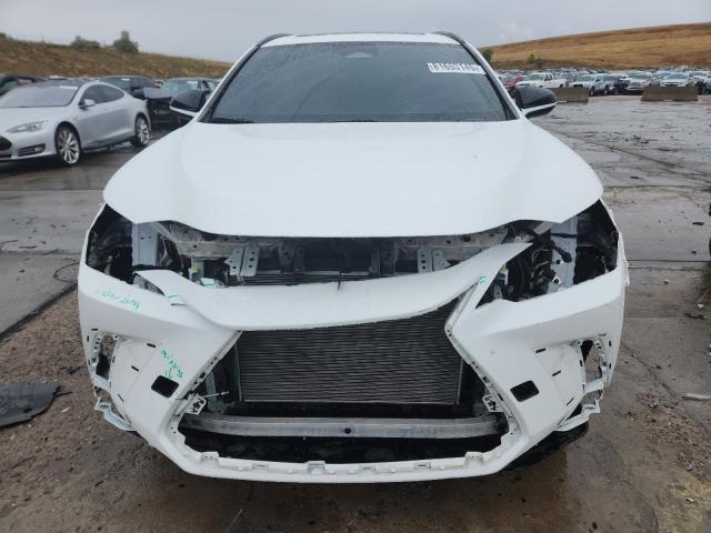 2024 LEXUS NX 350 LUX 2T2KGCEZ6RC039350