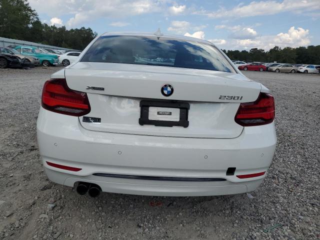 2020 BMW 230XI WBA2J3C08L7E04274