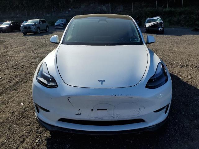 2024 TESLA MODEL Y 7SAYGDEE2RA316993